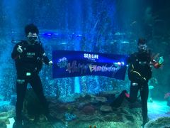 -沈阳海洋探索中心