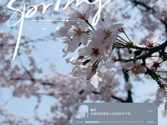 -龙美术馆(西岸馆)