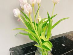 -朱迪小铺.半糖奶油蛋糕(海汇港店)