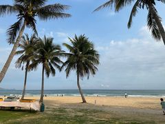 -海南清水湾莱佛士酒店