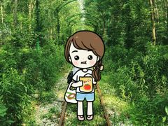 -合肥滨湖国家森林公园