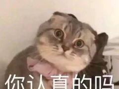 -唱吧麦颂KTV(方庄店)
