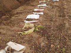 -解家河南菜(商鼎路店)