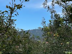 -北京十三陵国家森林公园蟒山景区