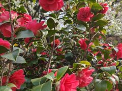 -蜀冈西峰生态公园