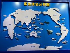 -北海海底世界