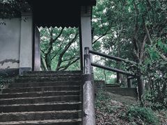 -上海佘山国家森林公园天马山园