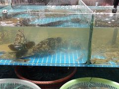 -和源祥·日照菜扛把子(万平口一店)