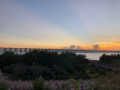 -宝安西湾红树林湿地公园