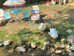 -HERRE·FARM 赫尔露营农场·团建聚会包场