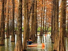 -星湖旅游景区七星岩