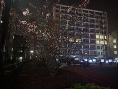 -上海市工商外国语学校