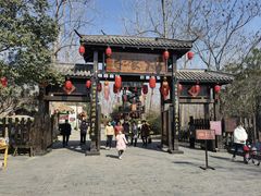 -合肥滨湖国家森林公园