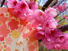 -梁鸿国家湿地公园