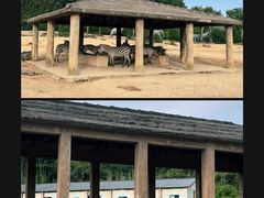 -杭州野生动物世界