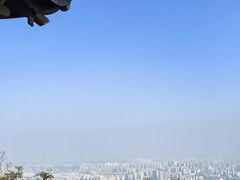 -惠山国家森林公园