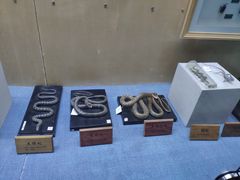 -陕西自然博物馆