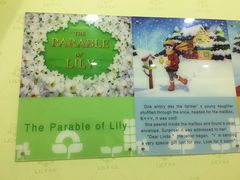 -LILY英语思维馆(玉泉路店)