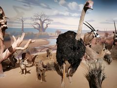 -陕西自然博物馆