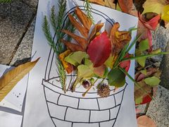 -白塘生态植物园