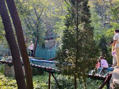 -原山国家森林公园