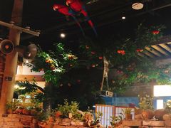 -茅炒屋龙虾·烧烤·湘菜(新河路店)