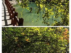 -尧治河旅游度假区