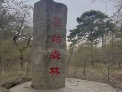 -大青沟风景区