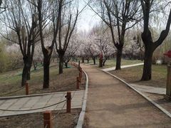 -长春公园(普阳街道)