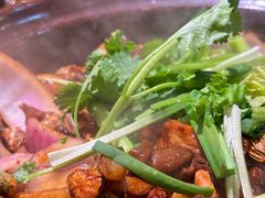 招牌双人份鸡煲-凤兴鸡煲(宝安海雅店)