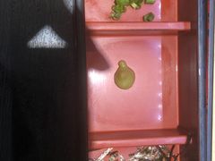 -昇鳗鱼家(浦东店)