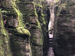 -梭布垭石林景区