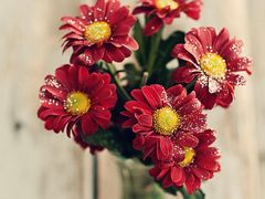 -舒友海鲜姿造(虹口店)