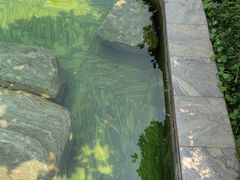 -英德宝晶宫天鹅湖茶语温泉