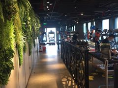 -威尔仕健身(海伦中心店)