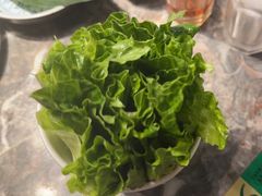 -禄婶鸡煲·打边炉