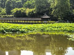 -龙头寺公园