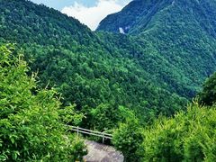 android_upload_pic-秦岭天竺山景区