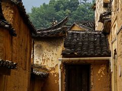 -杨家堂村