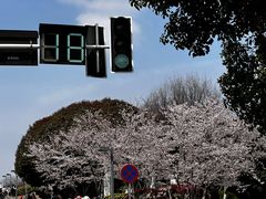 -南京城墙景区
