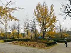 -黄兴公园