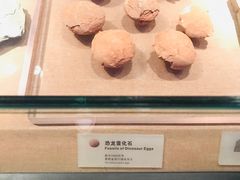 -烟台市博物馆
