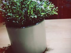 -SUGAR糖薯·章鱼烧(鹏欣水游城店)