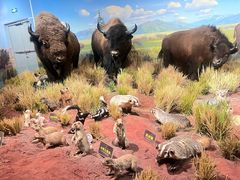 -陕西自然博物馆