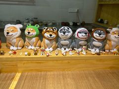 -柴务处·柴犬主题狗咖