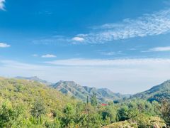 -石家庄市植物园