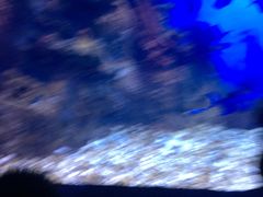 -鄂尔多斯野生动物园