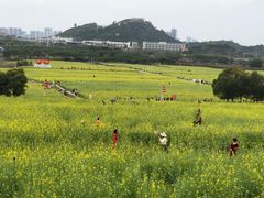 -光明小镇欢乐田园