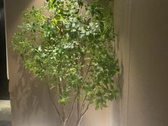 -华夏良子·足道SPA艾灸(王府井店)