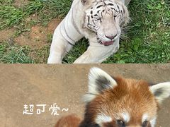 -云南野生动物园